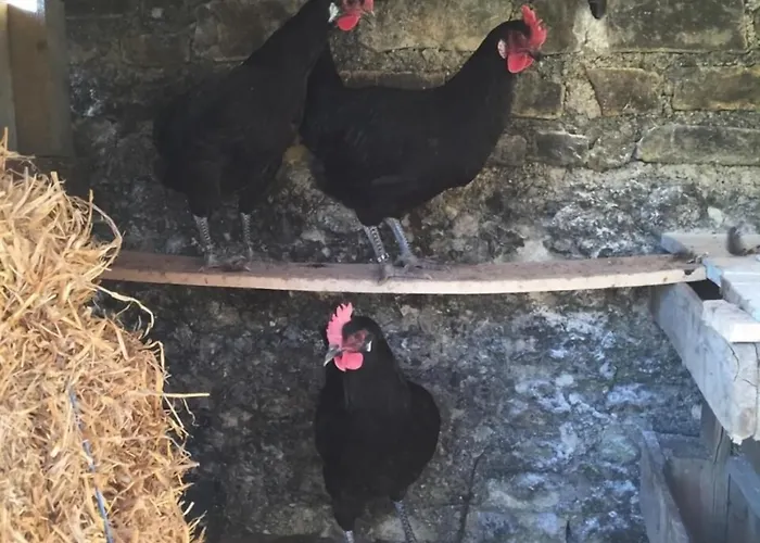 Les Hauts De Chalonne Casa de hóspedes 4*