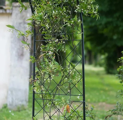 Les Hauts De Chalonne Casa de hóspedes