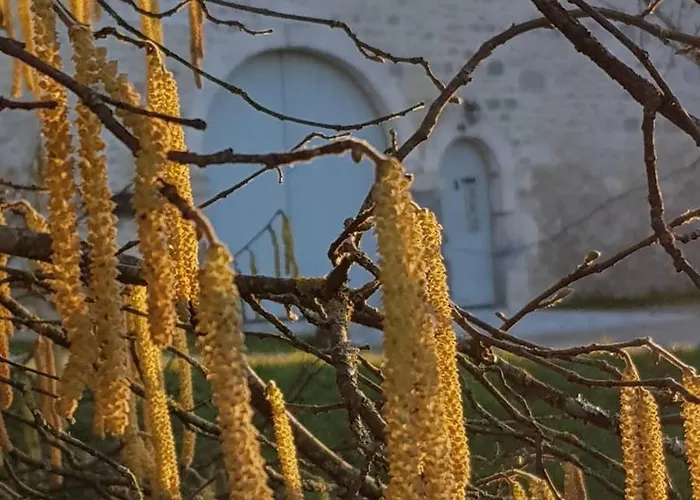 Les Hauts De Chalonne 4*