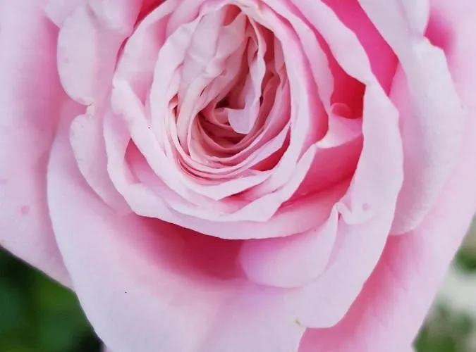 Les Hauts De Chalonne Casa de hóspedes